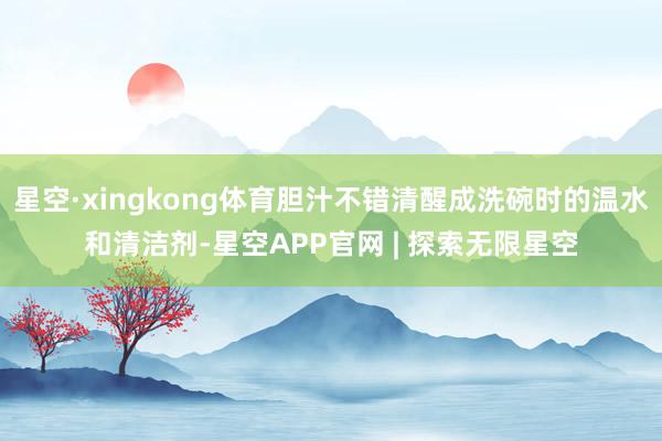 星空·xingkong体育胆汁不错清醒成洗碗时的温水和清洁剂-星空APP官网 | 探索无限星空