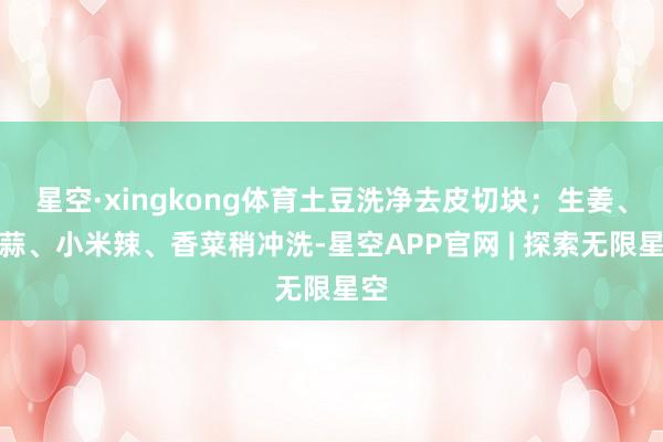 星空·xingkong体育土豆洗净去皮切块；生姜、大蒜、小米辣、香菜稍冲洗-星空APP官网 | 探索无限星空