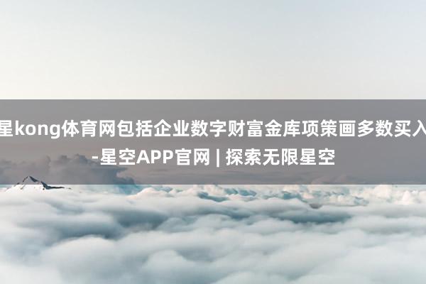 星kong体育网包括企业数字财富金库项策画多数买入-星空APP官网 | 探索无限星空