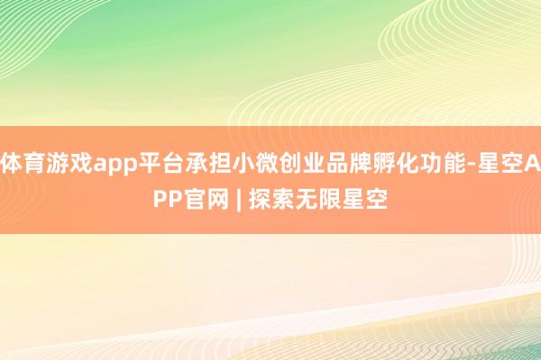 体育游戏app平台承担小微创业品牌孵化功能-星空APP官网 | 探索无限星空