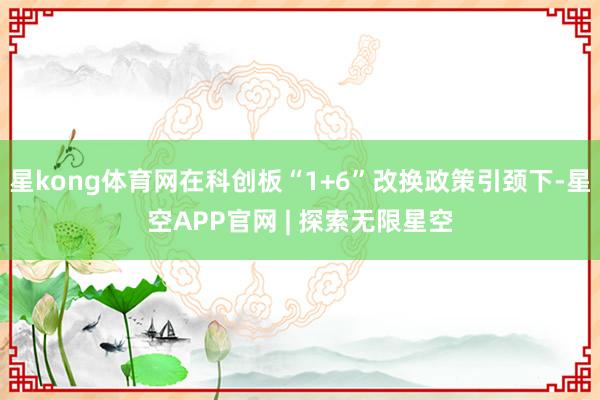 星kong体育网在科创板“1+6”改换政策引颈下-星空APP官网 | 探索无限星空