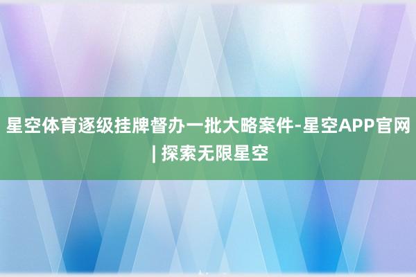 星空体育逐级挂牌督办一批大略案件-星空APP官网 | 探索无限星空